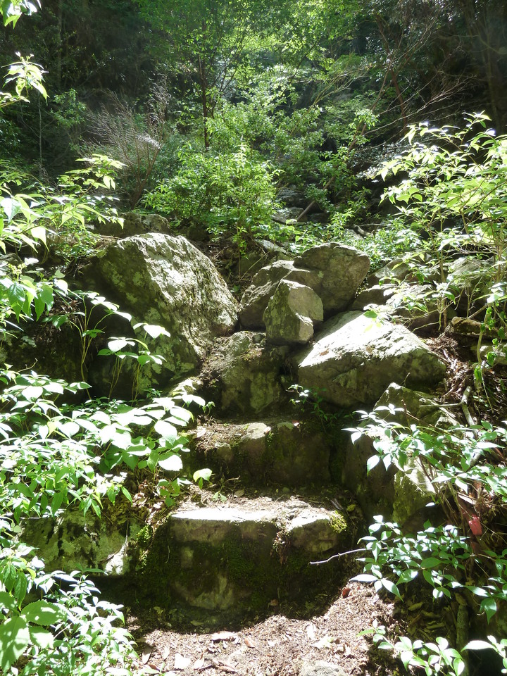 P1100815_mid.jpg