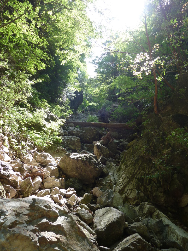 P1100816_mid.jpg