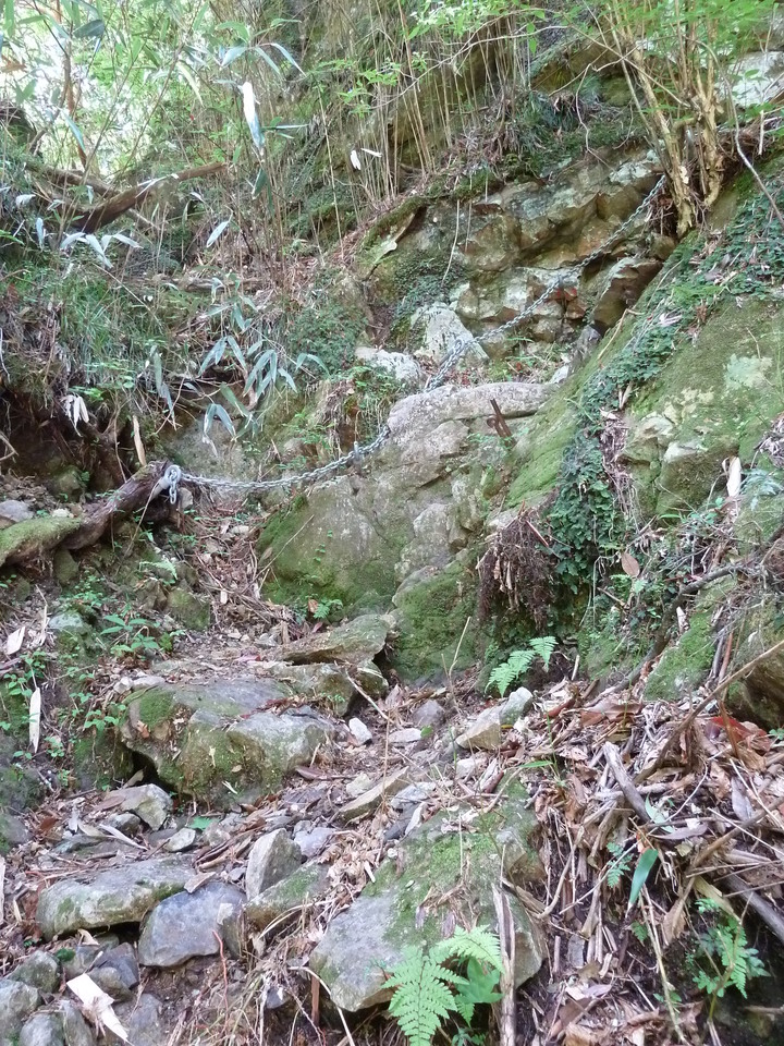 P1100818_mid.jpg
