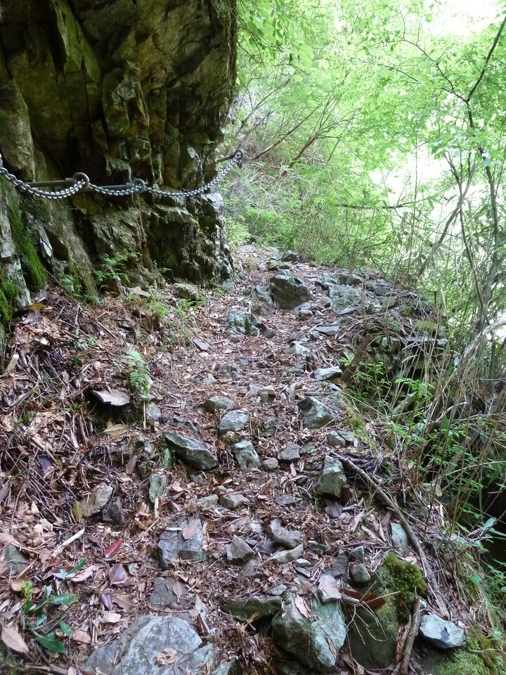 P1100819_mid.jpg