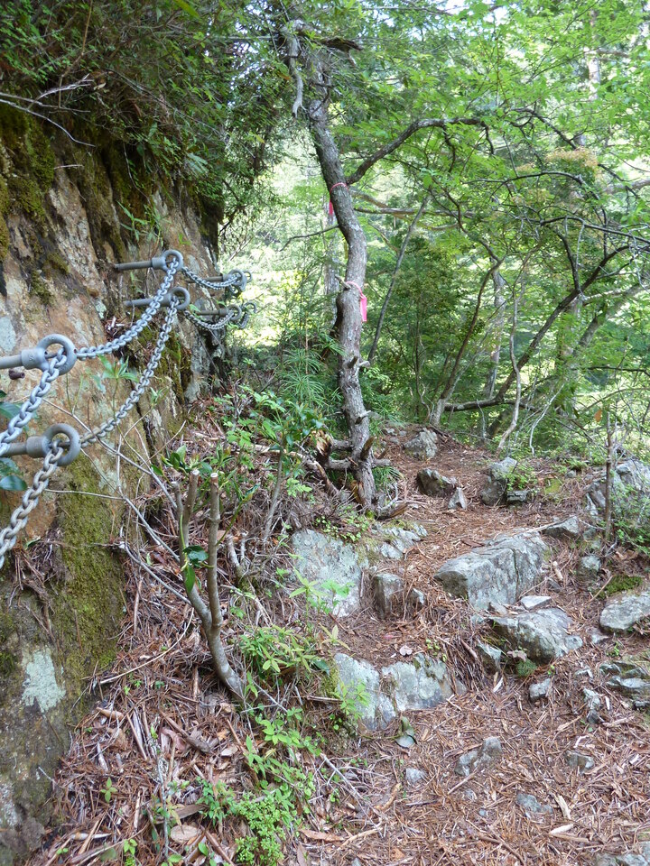 P1100820_mid.jpg
