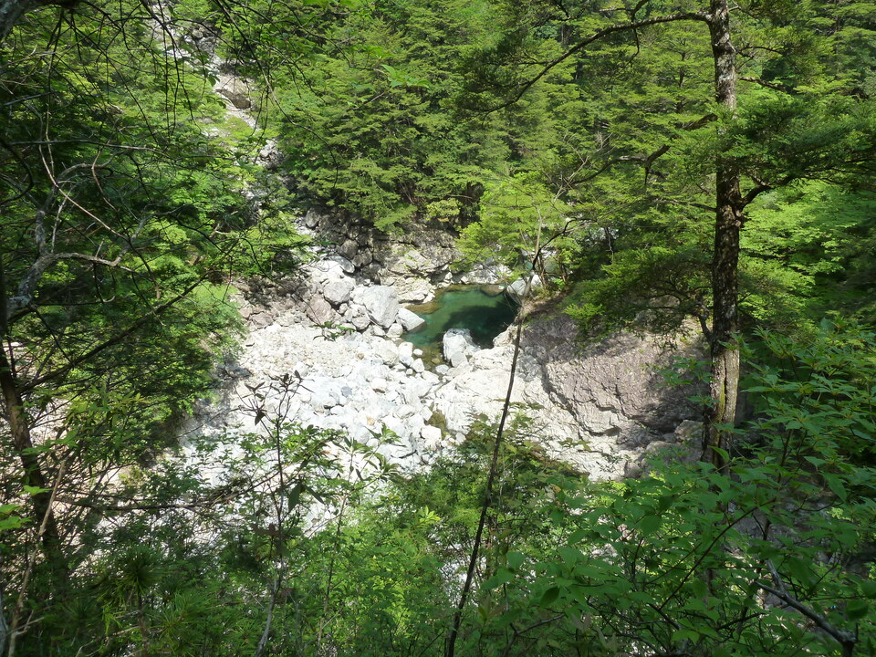 P1100821_mid.jpg