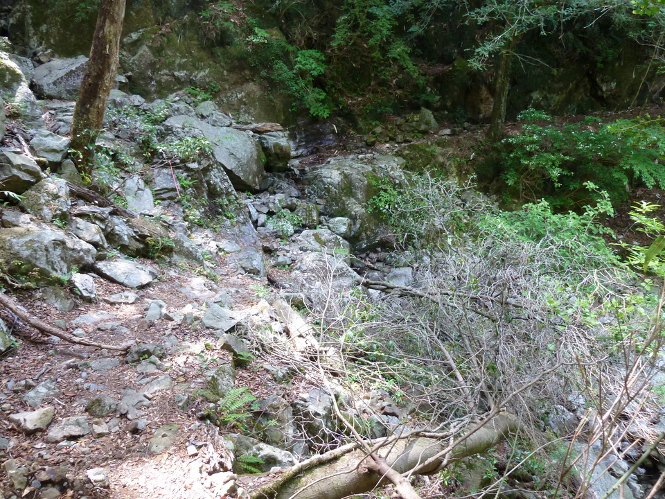 P1100823_mid.jpg