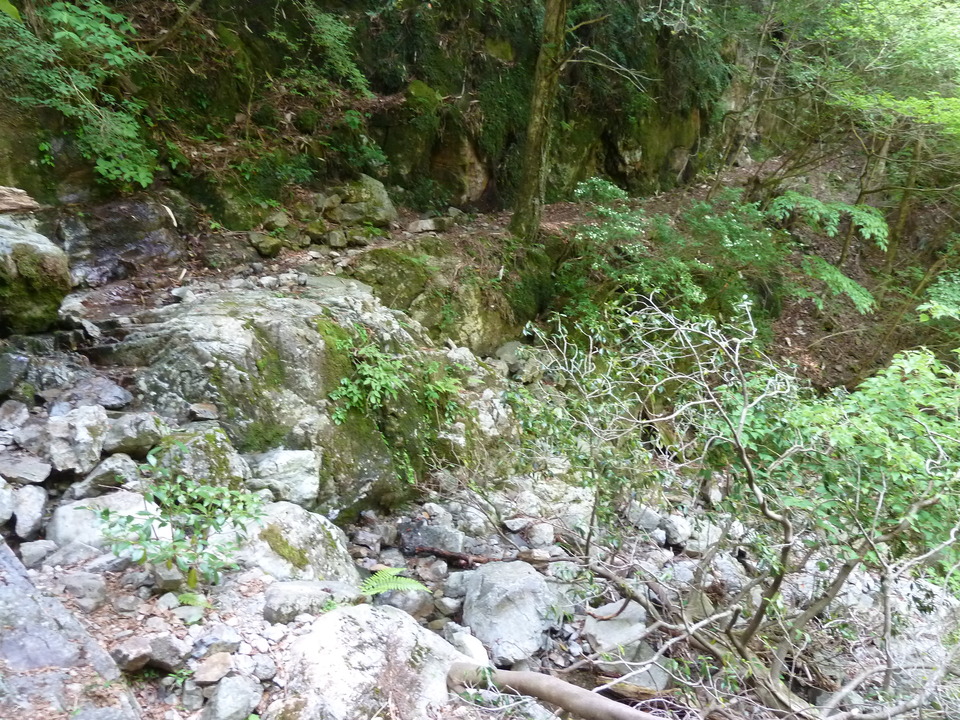 P1100824_mid.jpg