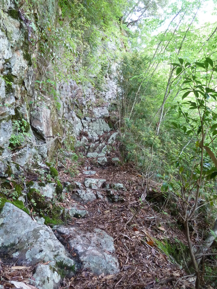 P1100828_mid.jpg