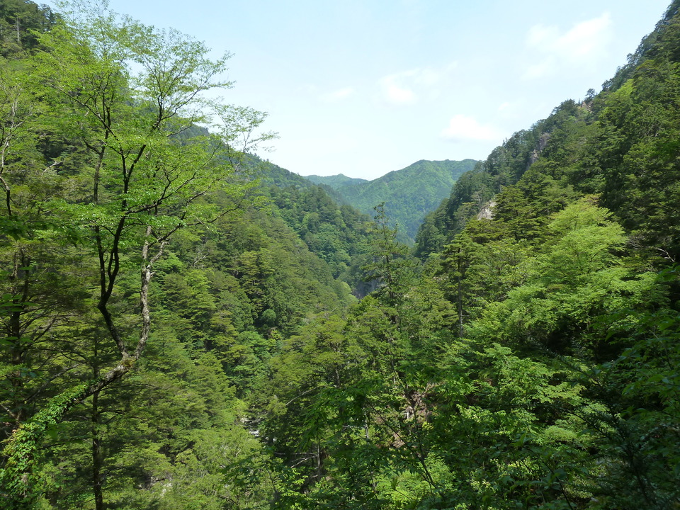 P1100829_mid.jpg