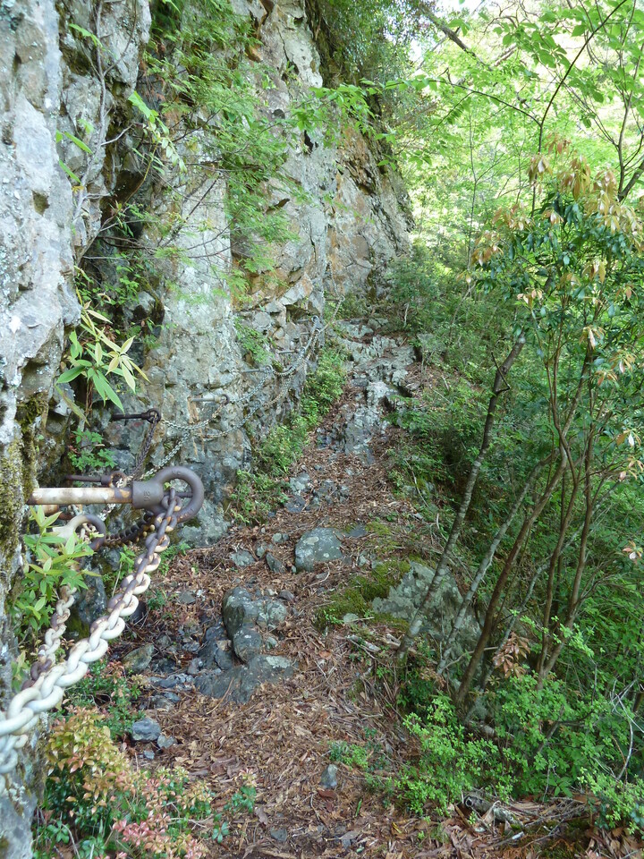 P1100830_mid.jpg