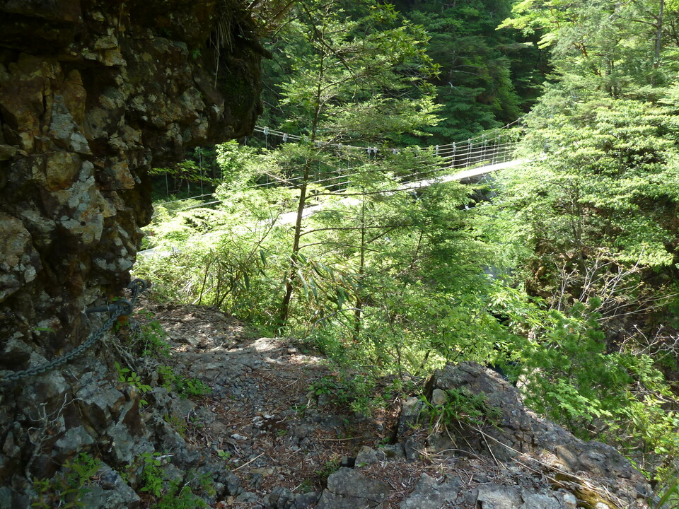 P1100831_mid.jpg