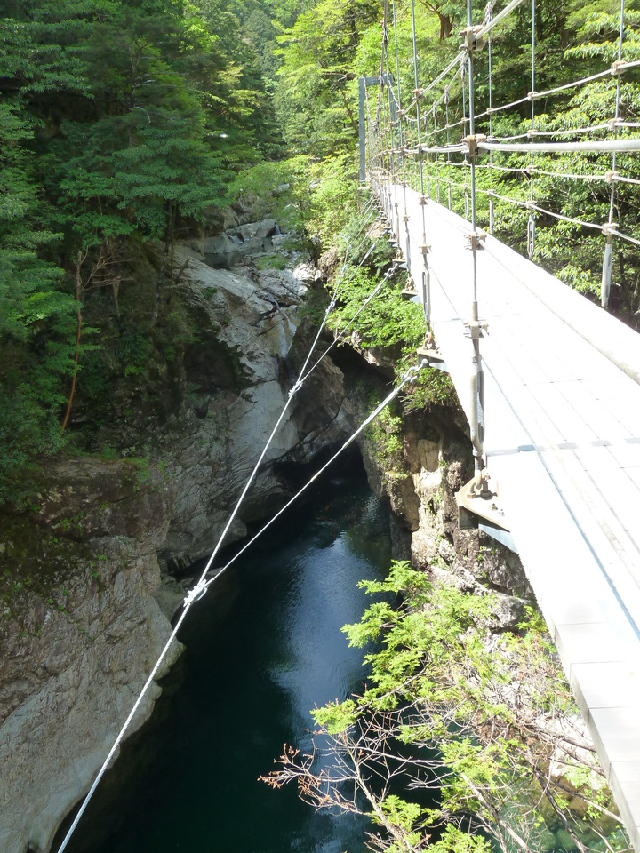 P1100837_mid.jpg