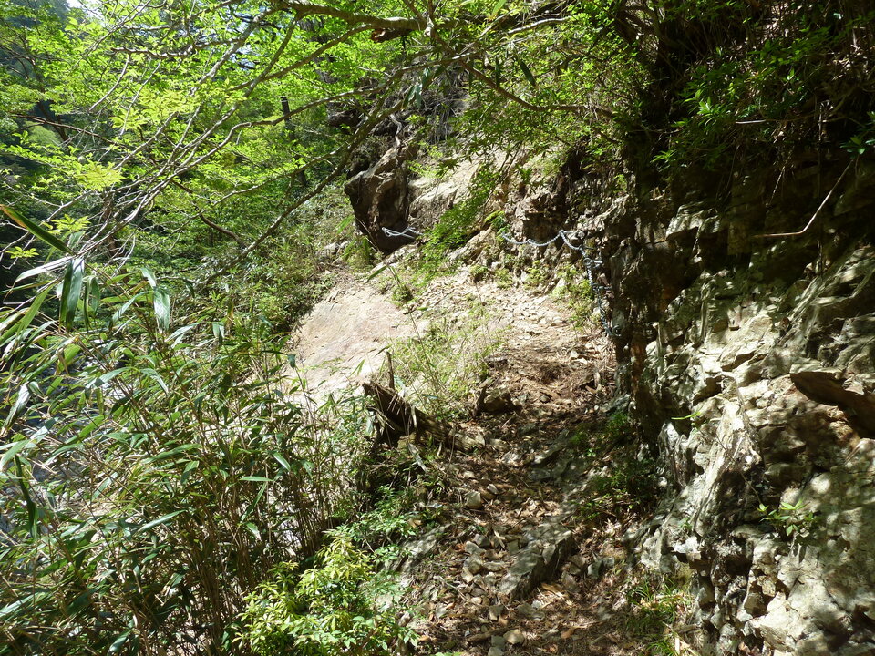 P1100839_mid.jpg