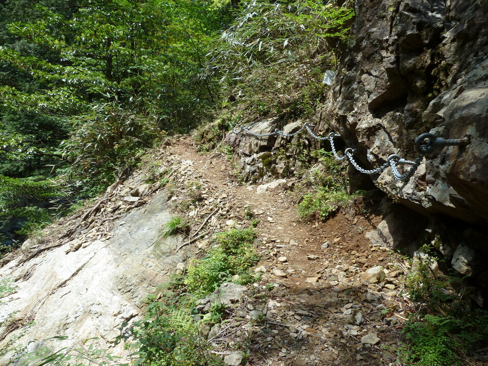 P1100840_mid.jpg