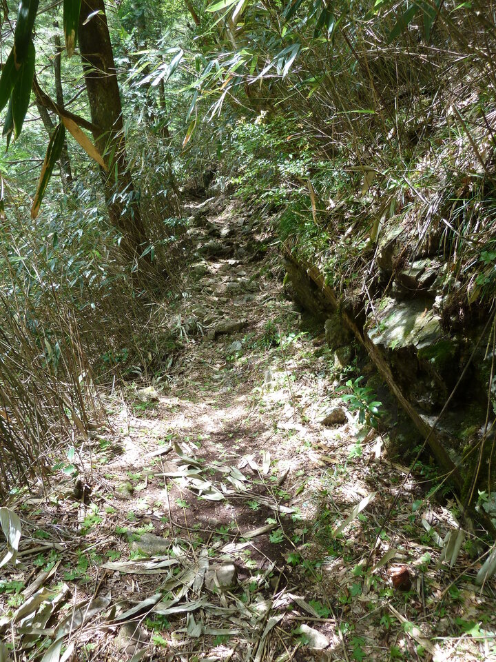 P1100841_mid.jpg
