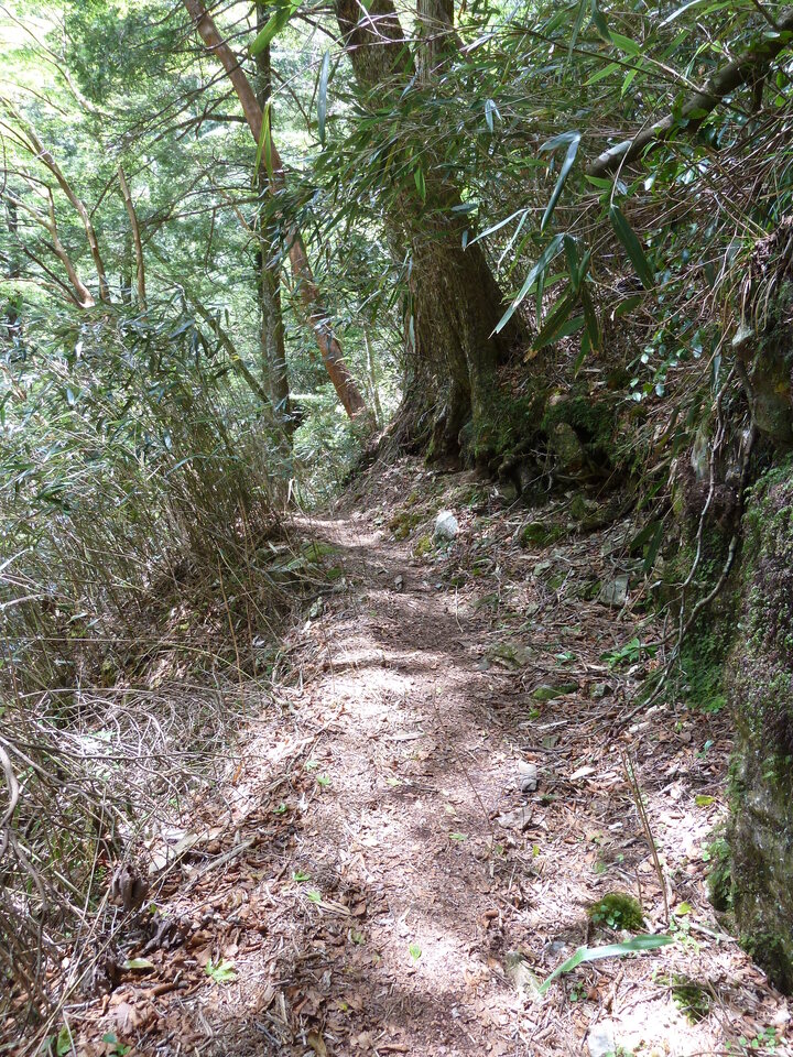 P1100842_mid.jpg