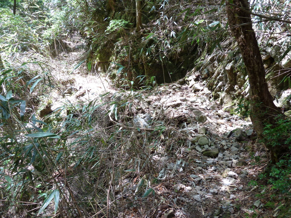 P1100843_mid.jpg