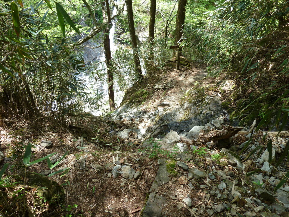 P1100846_mid.jpg