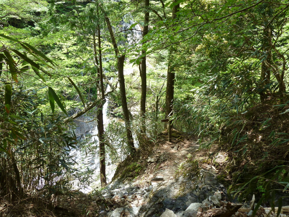 P1100847_mid.jpg