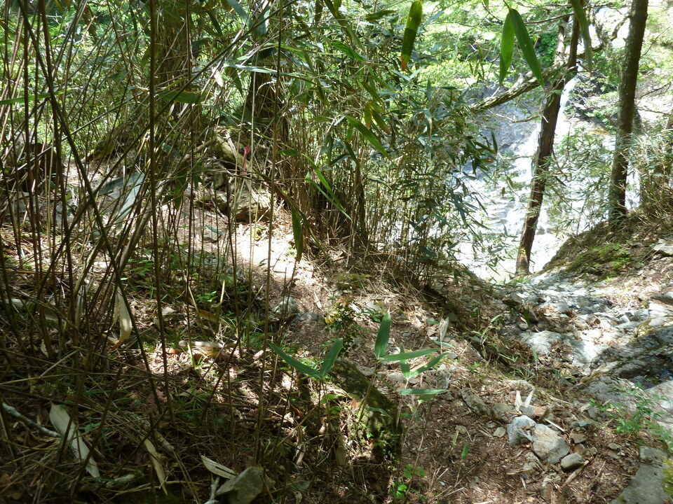 P1100848_mid.jpg