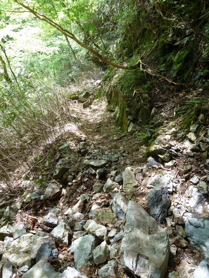 P1100852_mid.jpg