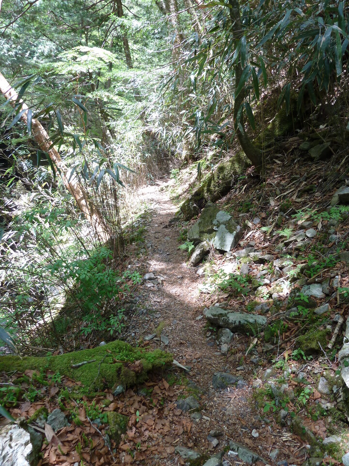 P1100855_mid.jpg