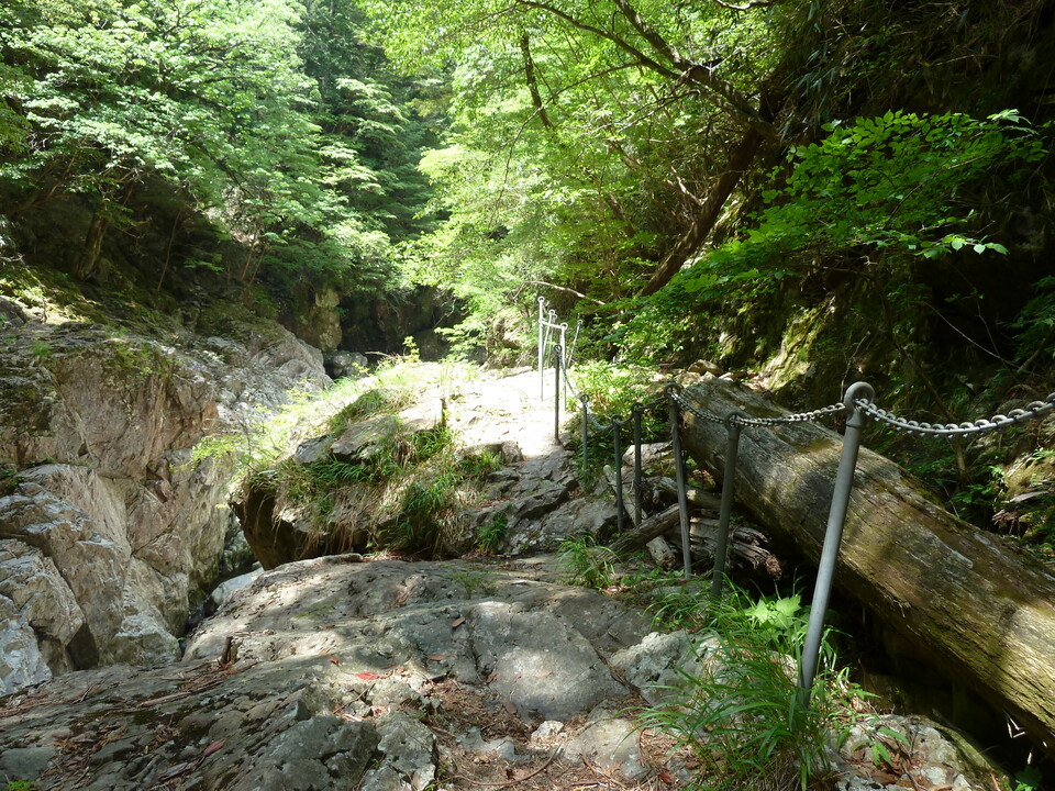 P1100857_mid.jpg