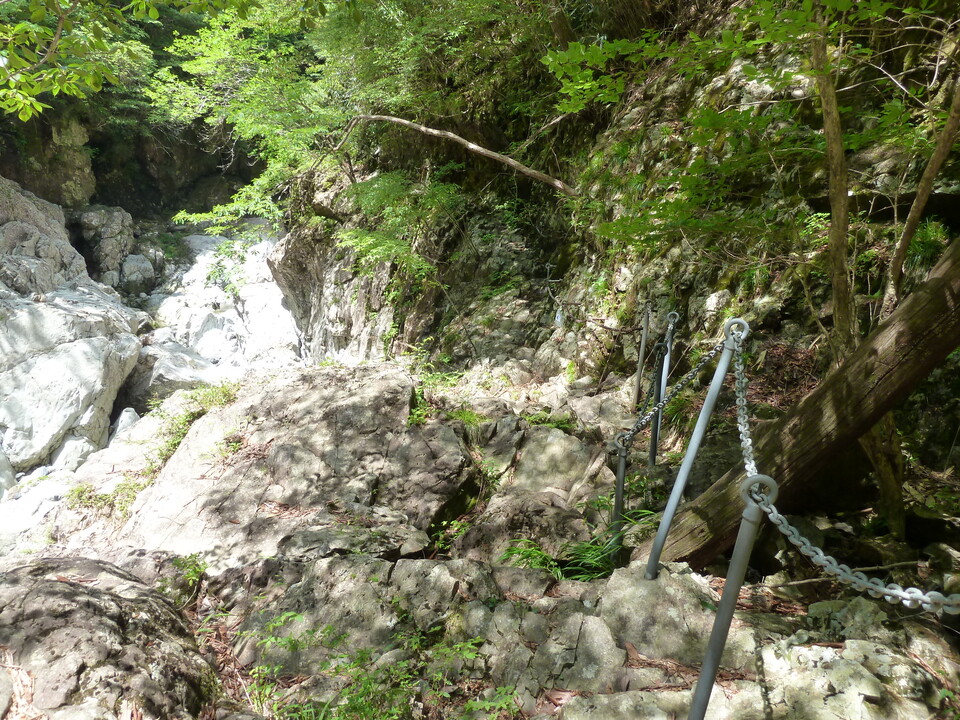 P1100858_mid.jpg