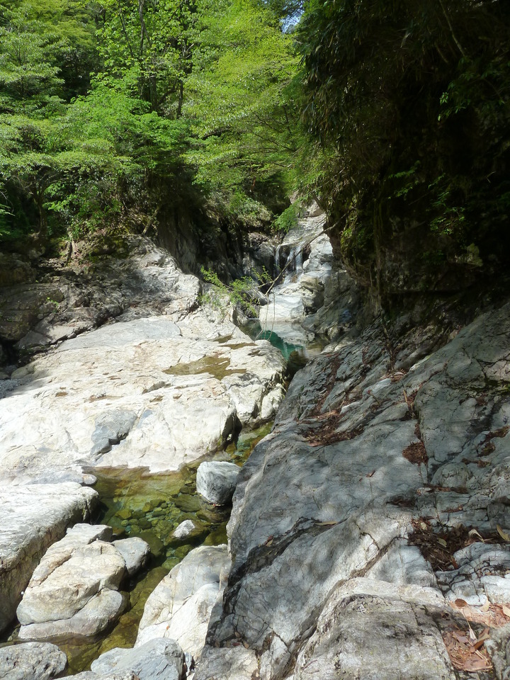 P1100860_mid.jpg