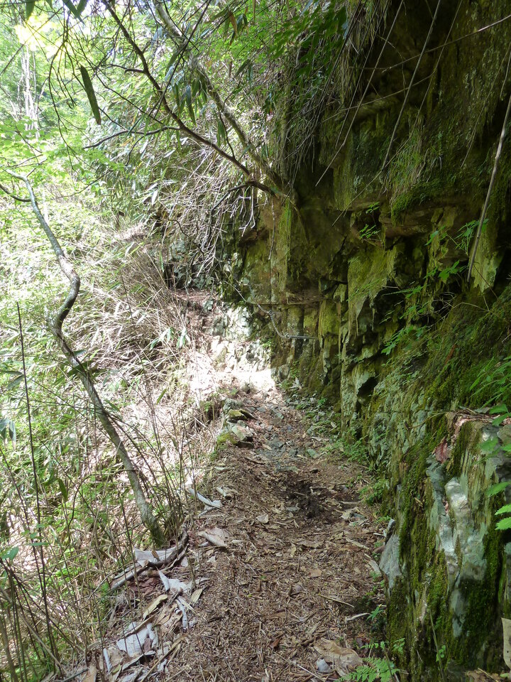 P1100863_mid.jpg