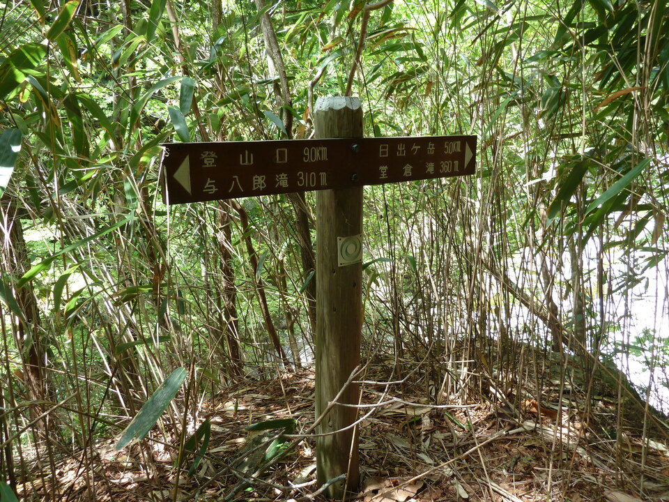 P1100864_mid.jpg