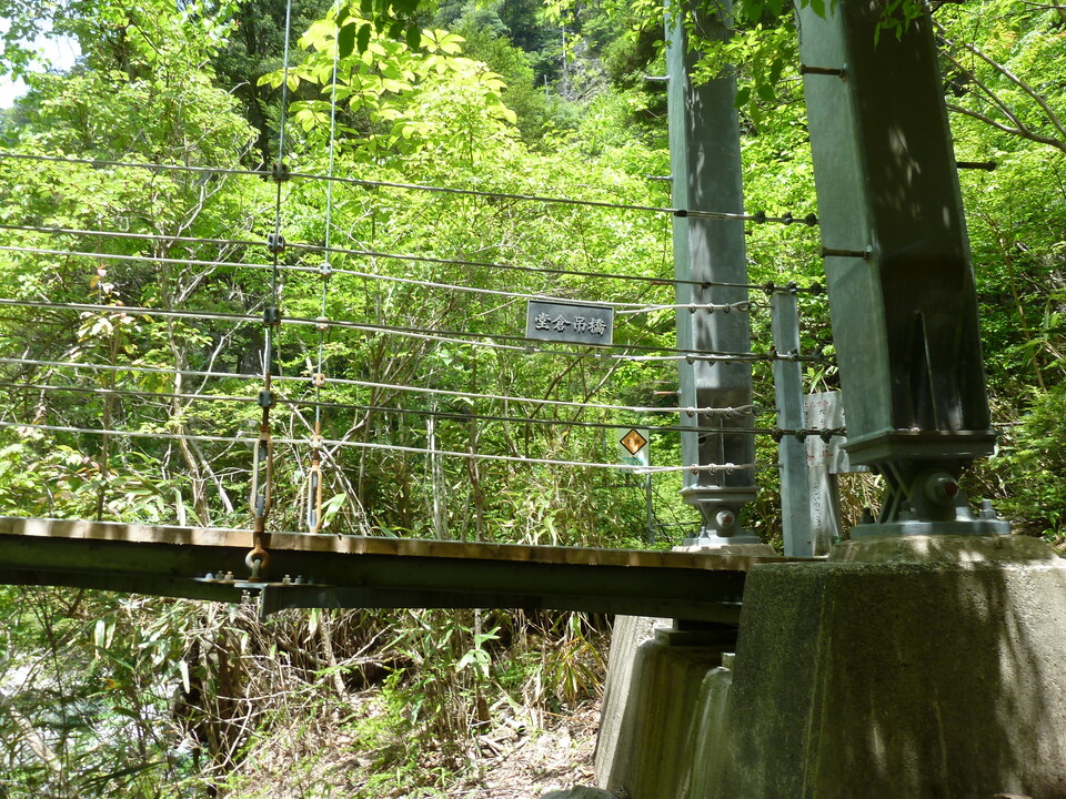 P1100868_mid.jpg