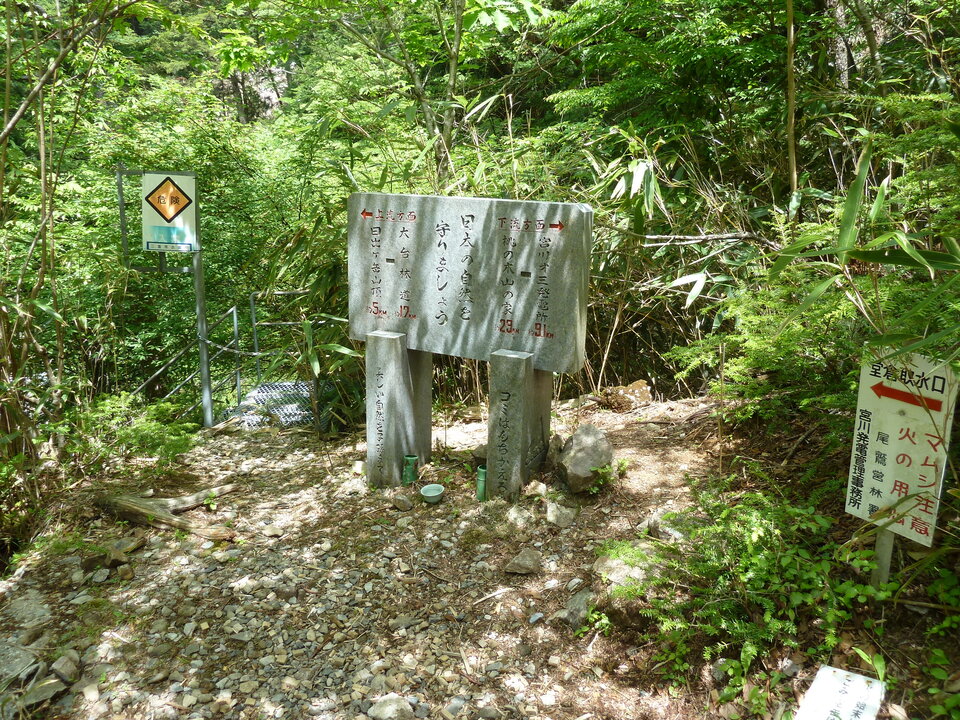 P1100869_mid.jpg