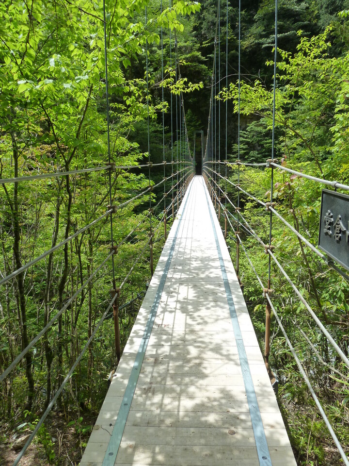 P1100870_mid.jpg