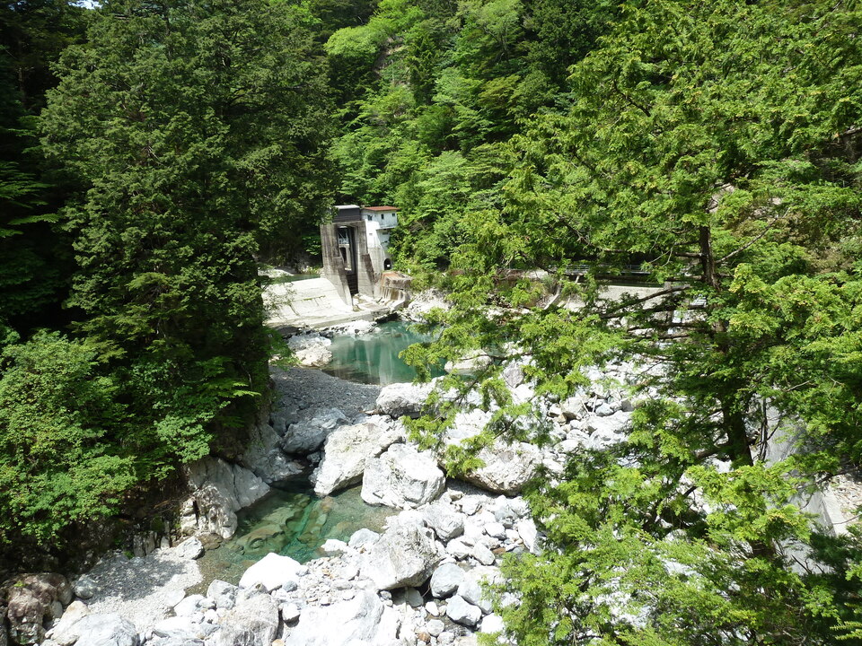 P1100871_mid.jpg