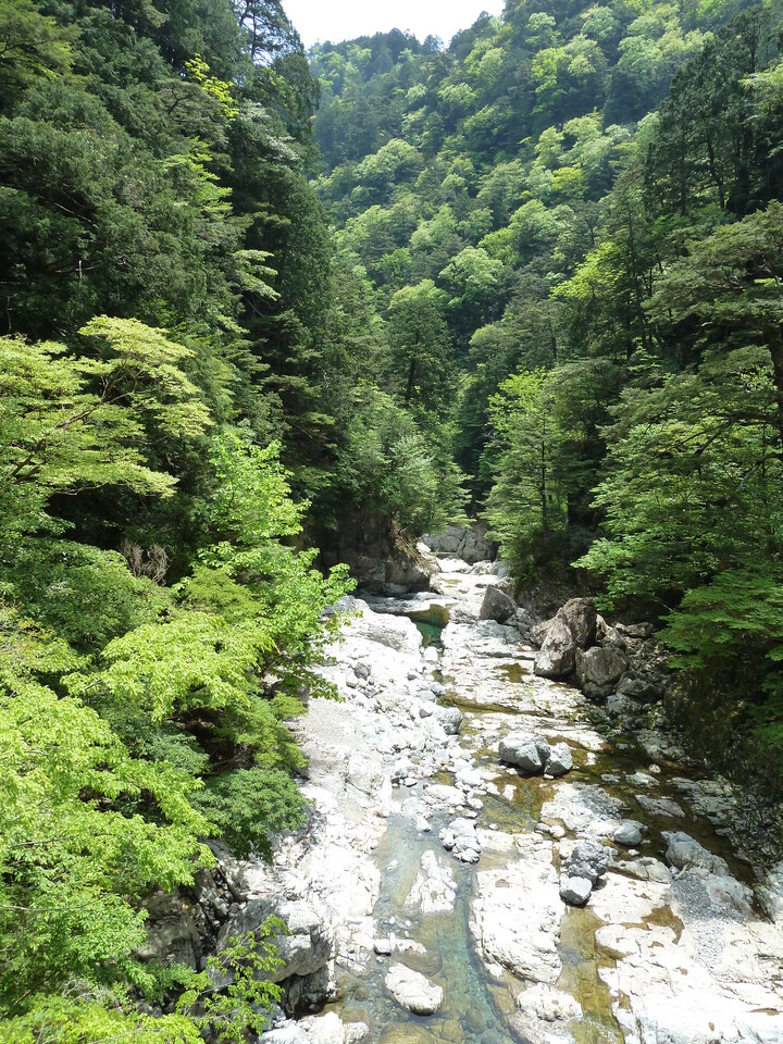 P1100872_mid.jpg