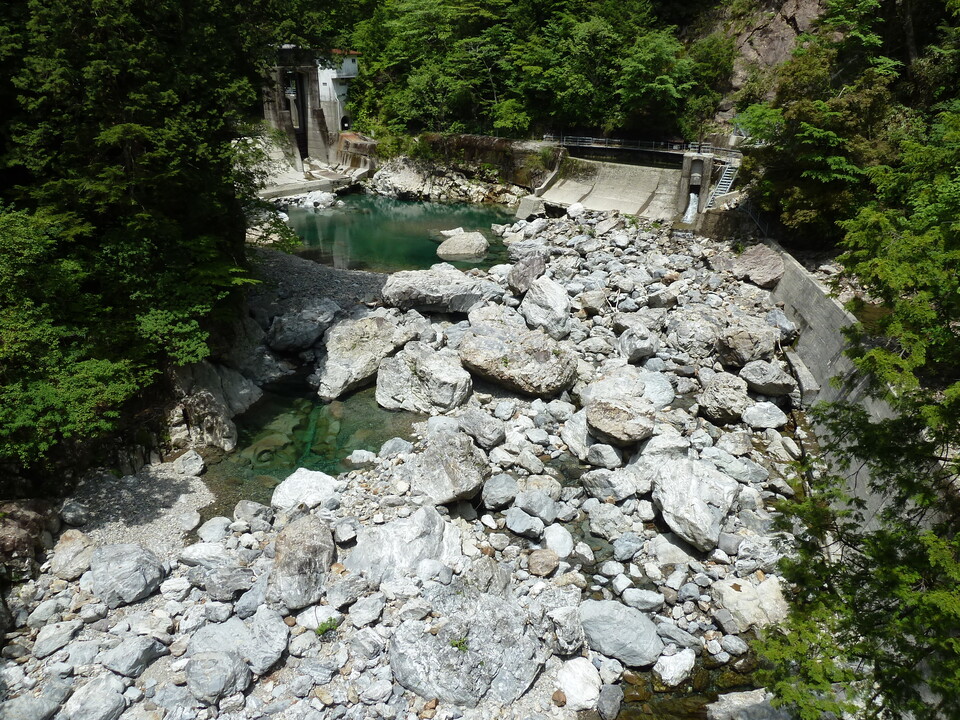 P1100874_mid.jpg