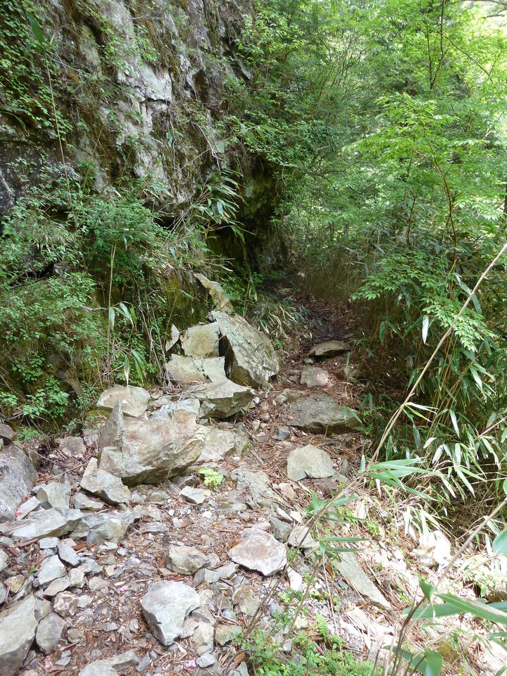 P1100875_mid.jpg