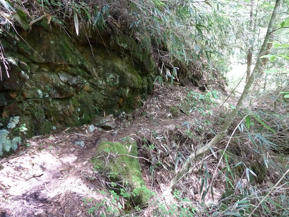 P1100876_mid.jpg