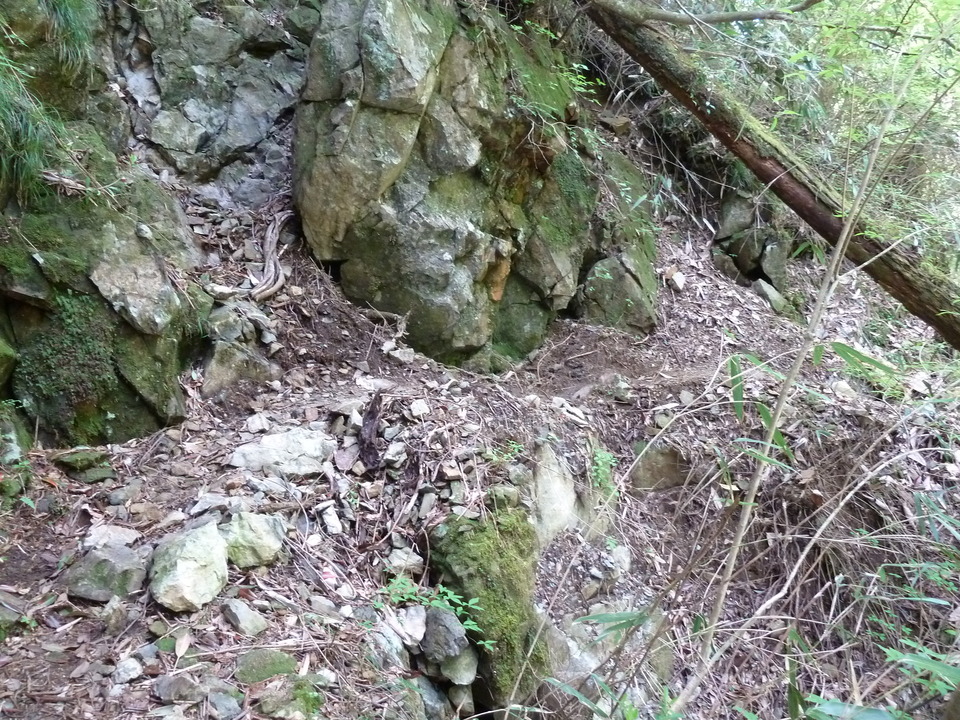 P1100877_mid.jpg