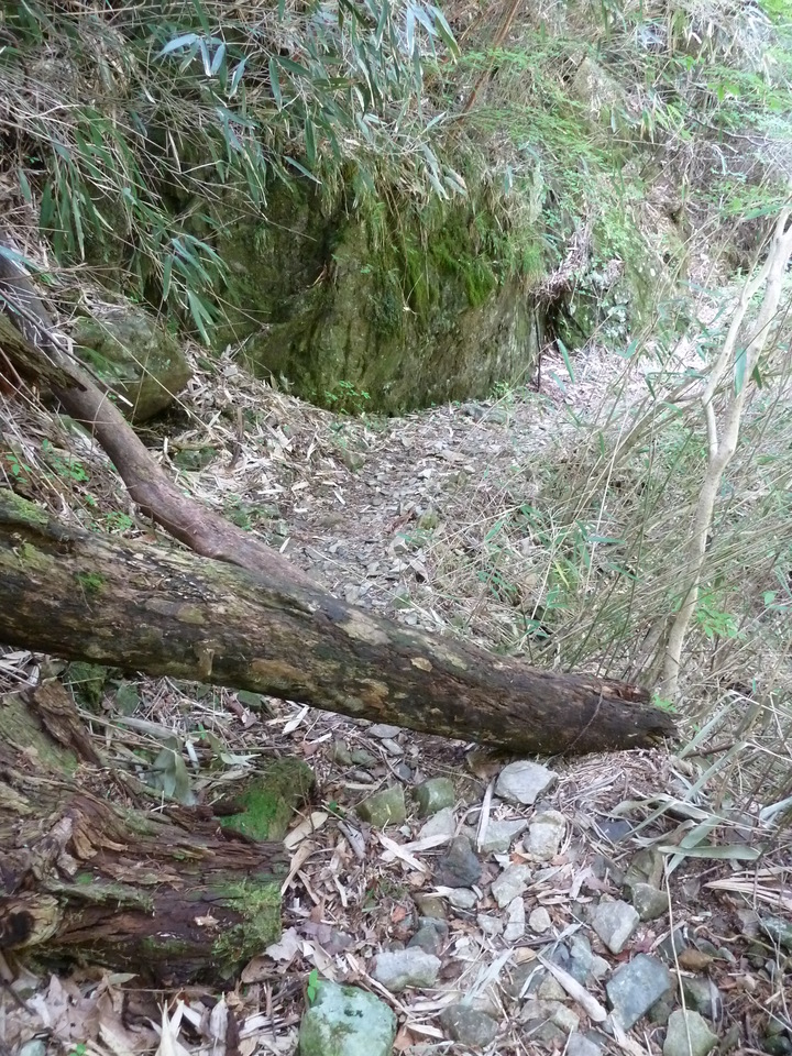 P1100878_mid.jpg