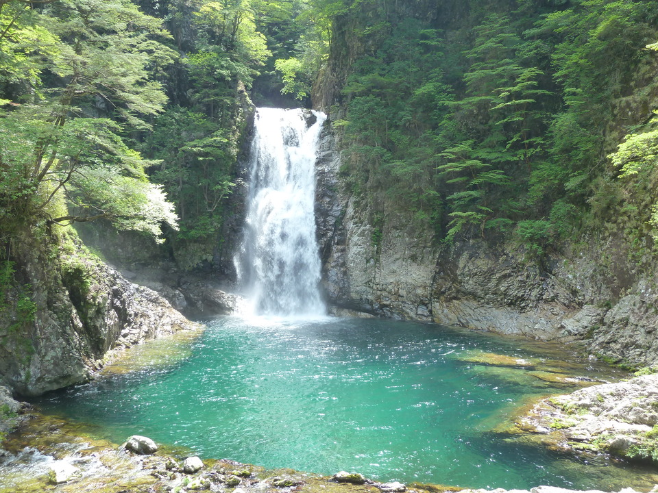 P1100883_mid.jpg