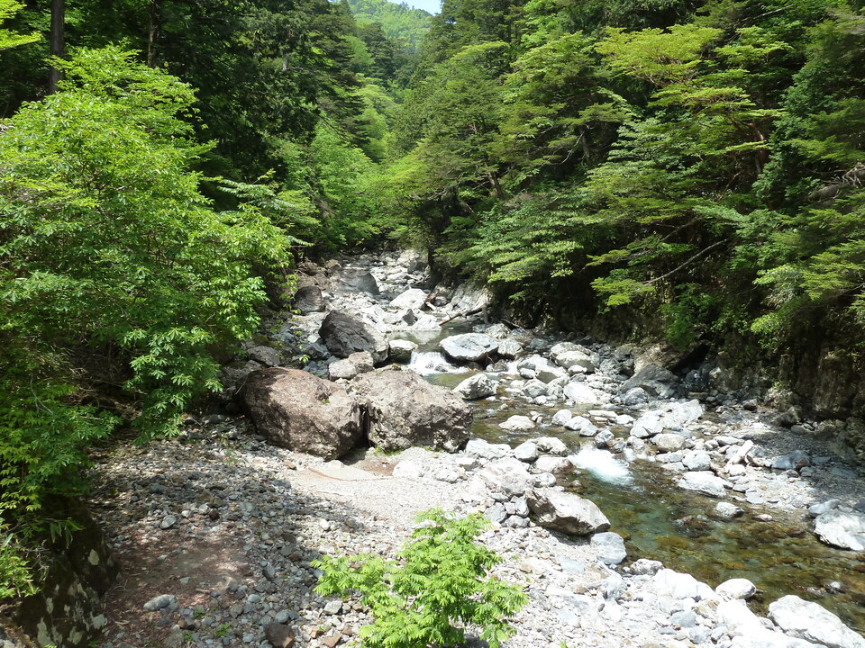 P1100891_mid.jpg