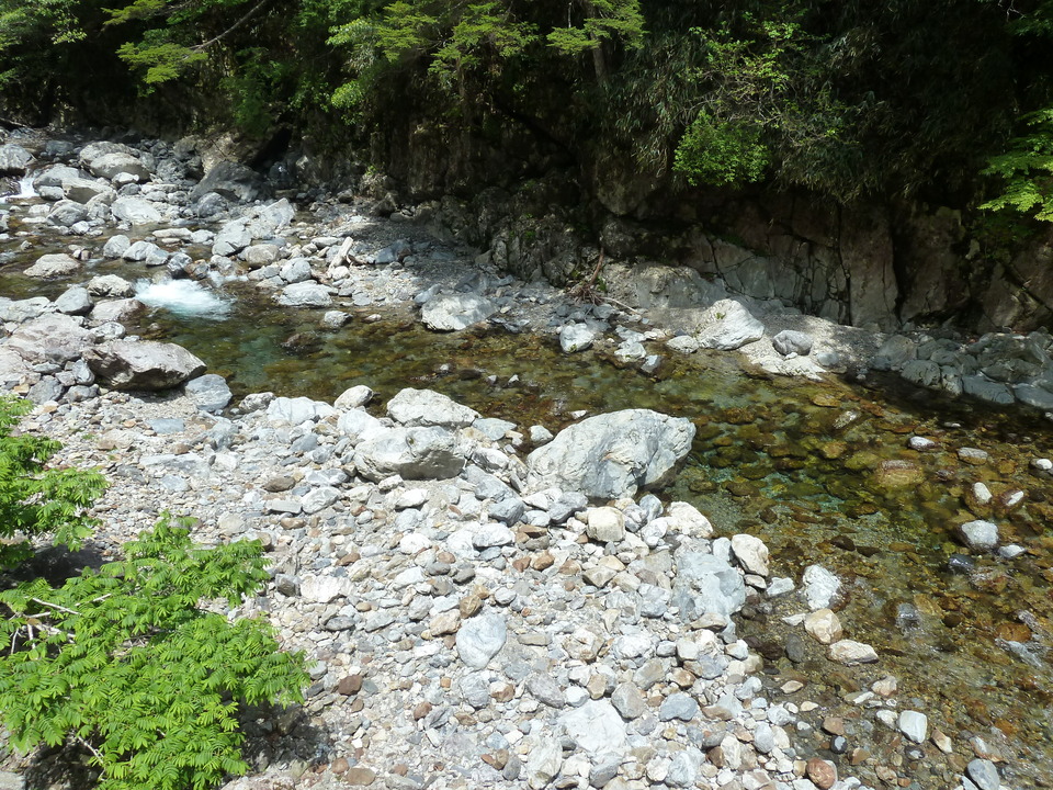 P1100893_mid.jpg