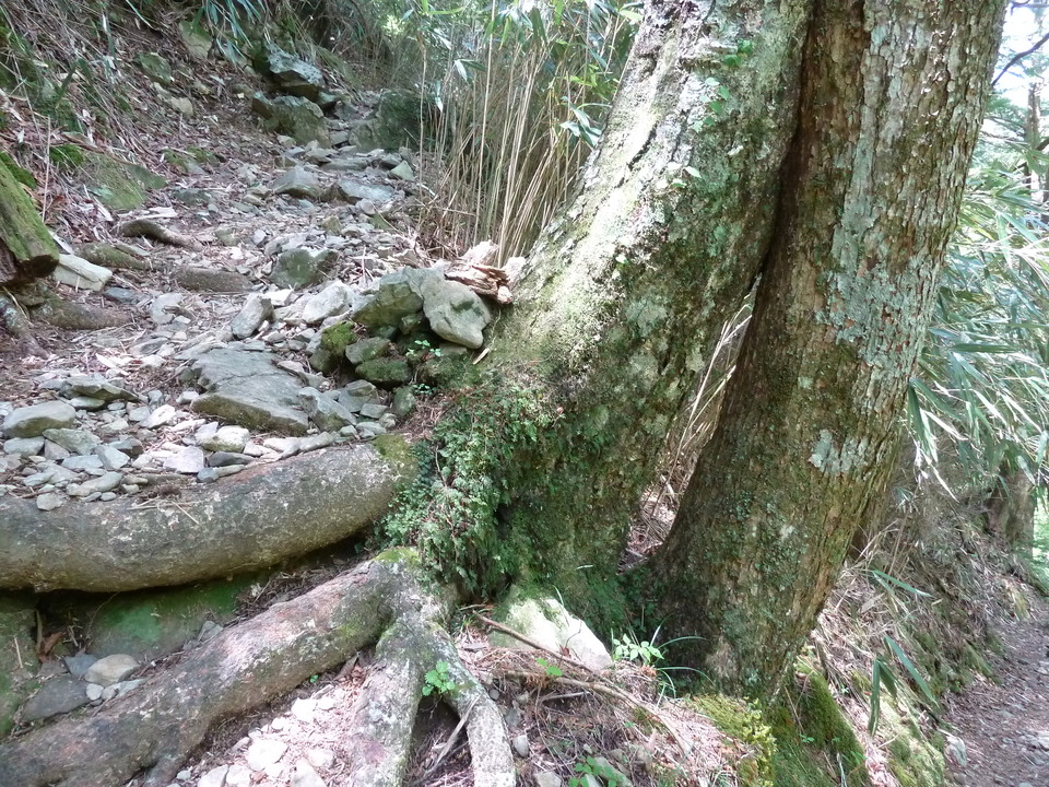 P1100907_mid.jpg