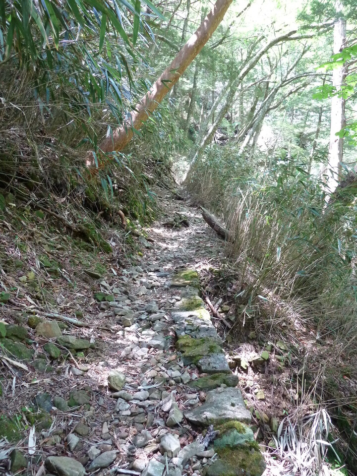P1100909_mid.jpg