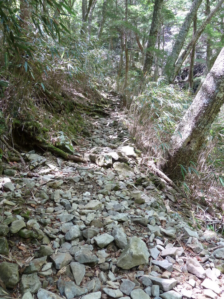 P1100910_mid.jpg