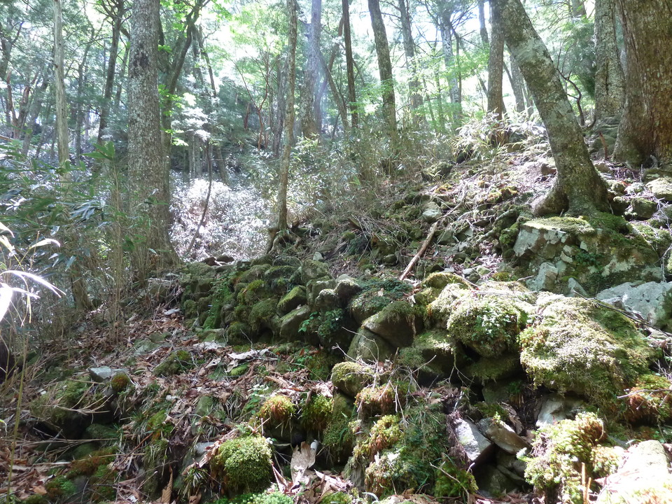 P1100912_mid.jpg
