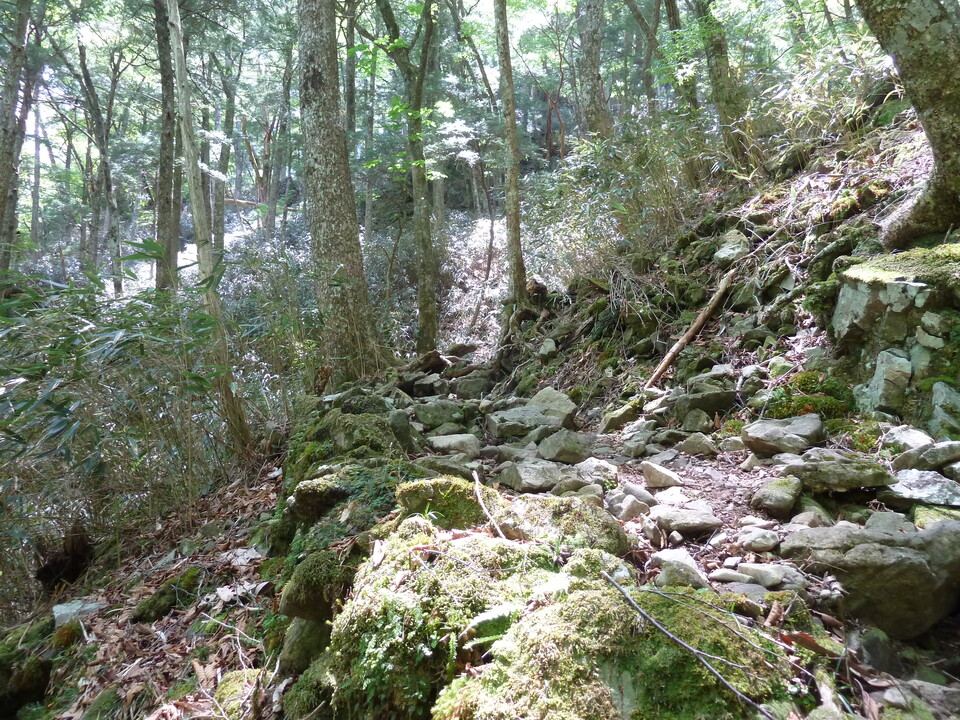 P1100913_mid.jpg