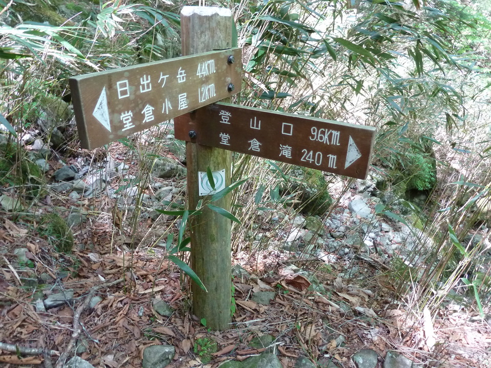P1100914_mid.jpg
