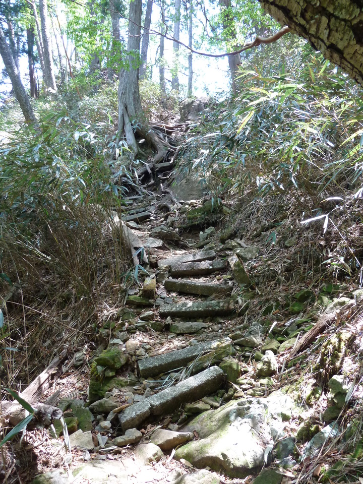 P1100919_mid.jpg
