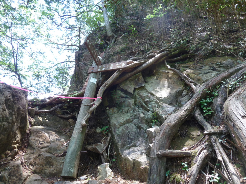 P1100922_mid.jpg