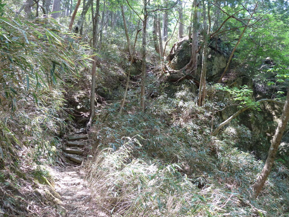 P1100923_mid.jpg